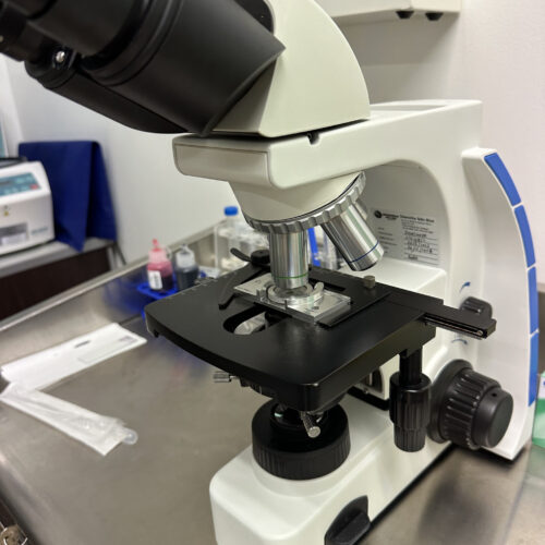 Lab Img 10
