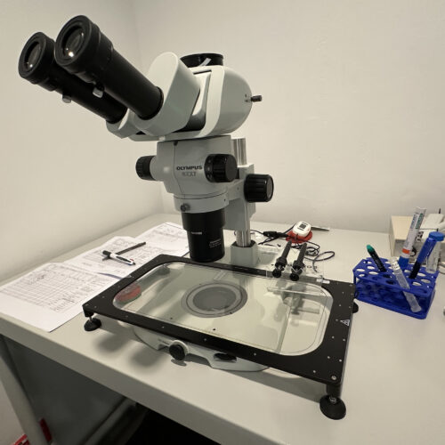 Lab Img 12