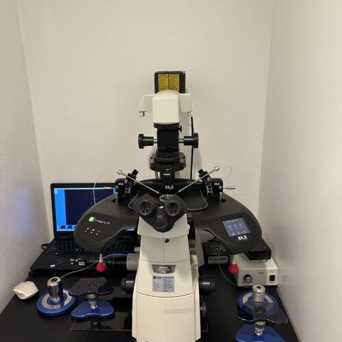 Lab Img 2