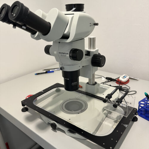Lab Img 8