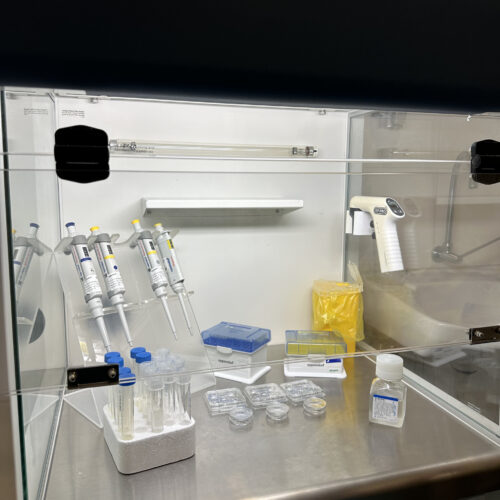 Lab Img 9